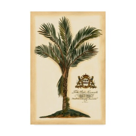 Vision Studio 'British Colonial Palm Iv' Canvas Art,22x32